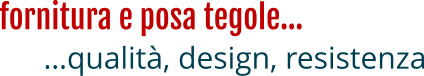 fornitura e posa tegole…  …qualità, design, resistenza