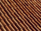 Coppo di Grecia optima plus provenza antico