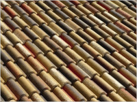 Coppo di Grecia antichizzata coppo muschiato