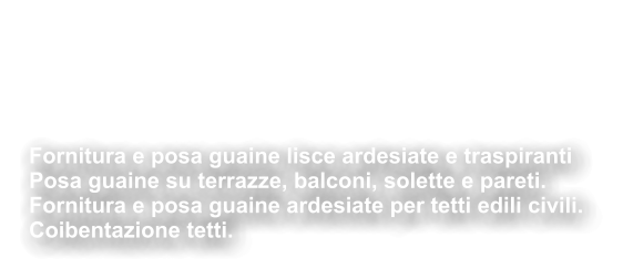 Impermeabilizzazioni  Coibentazioni Fornitura e posa guaine lisce ardesiate e traspiranti Posa guaine su terrazze, balconi, solette e pareti. Fornitura e posa guaine ardesiate per tetti edili civili. Coibentazione tetti.