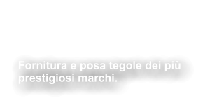 Fornitura &  posa Tegole Fornitura e posa tegole dei più  prestigiosi marchi.